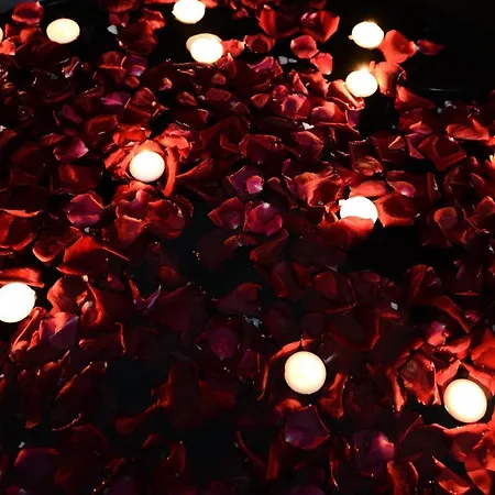 格雷戈里奥七豪华套房旅馆 招待所 罗马