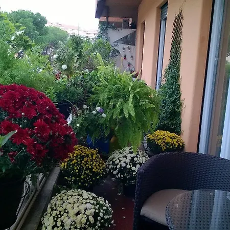 格雷戈里奥七豪华套房旅馆 招待所