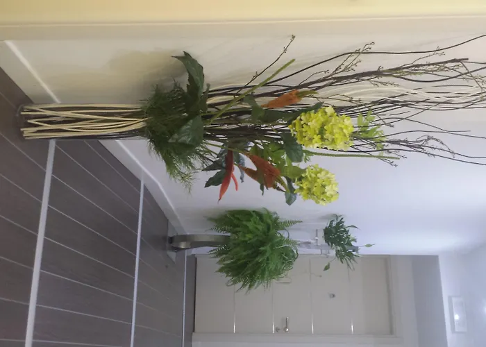 Guest house Gregorio Vii Luxury Rome