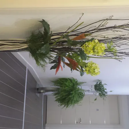 Πανσιόν Gregorio Vii Luxury Ρώμη