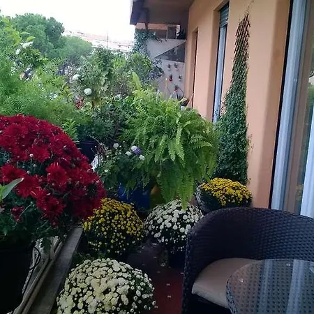 Гостевой дом Gregorio Vii Luxury 2*