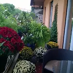Gregorio Vii Luxury Affittacamere
